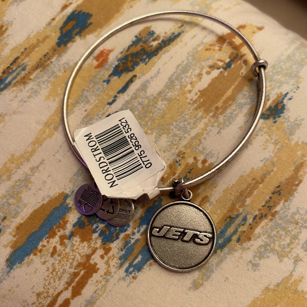 alex and ani bangle bracelet (jets)